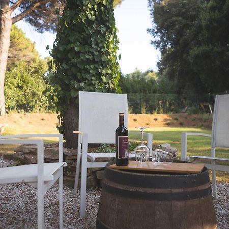 Podere San Filippo Bibbona Exterior foto